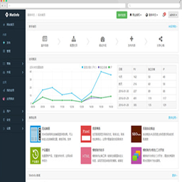 NiceMC Player