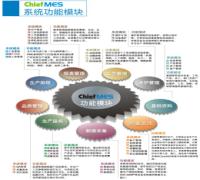 制造业管理信息系统