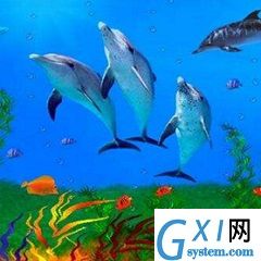 海底世界动态屏保