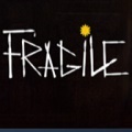 fragile恐怖游戏下载