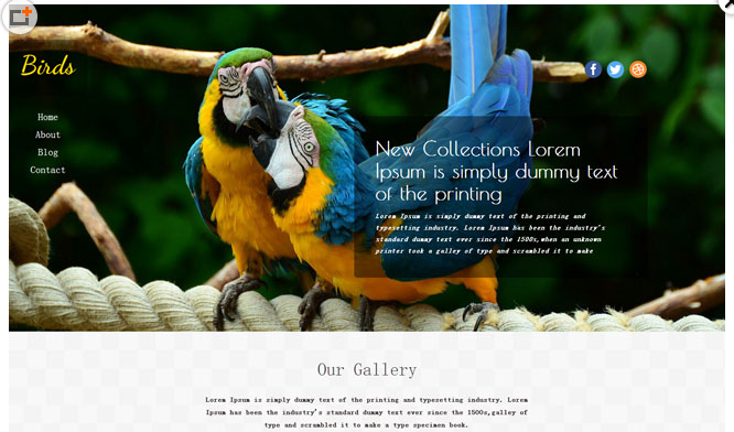 鸟类养殖企业网站模板