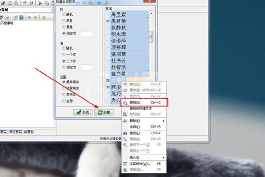 吉吉写作起名的简单操作讲解截图