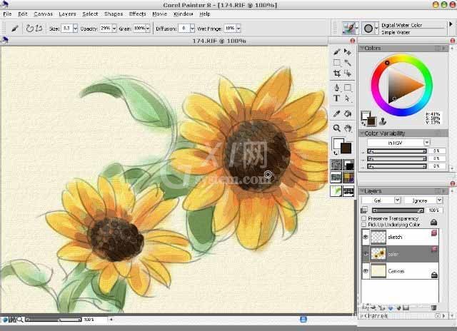 painter8绘画水彩效果向日葵的详细使用方法截图