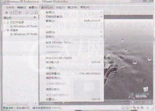 VMware Tools的安装方法截图