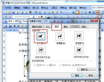 word2003中防止图片移动的设置方法截图