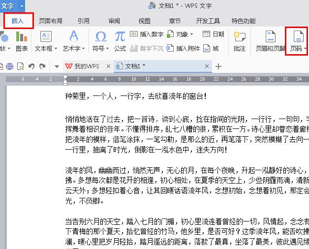 WPS Office 2016将指定页数设置为起始页的步骤截图