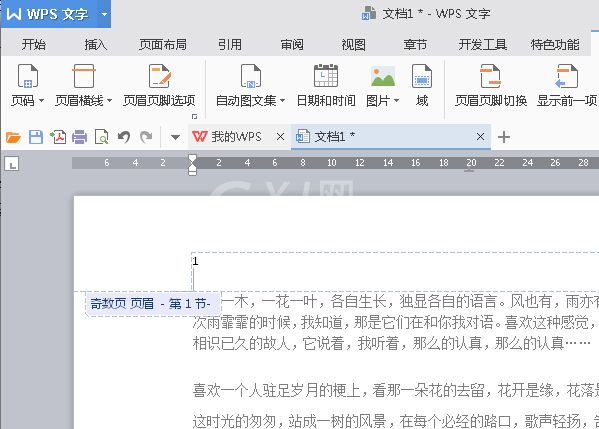 WPS Office 2016将指定页数设置为起始页的步骤截图