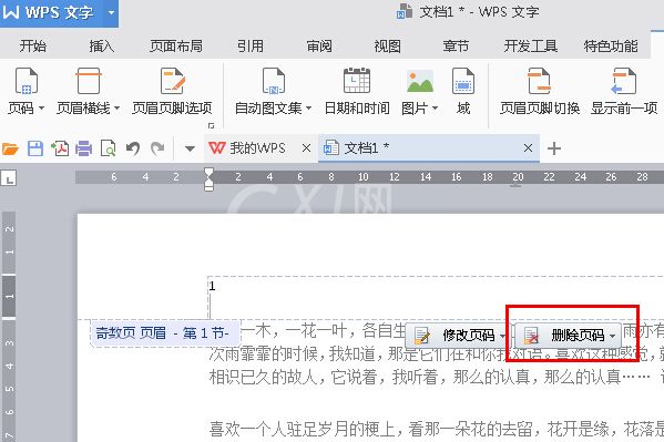 WPS Office 2016将指定页数设置为起始页的步骤截图