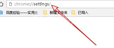 谷歌浏览器设置密码以及表单自动填充的操作步骤截图