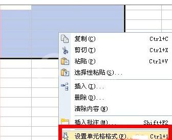wps2007输入都带指定字的详细操作步骤截图