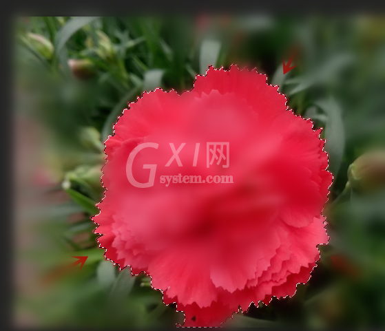 PS抠图之后处理图片边缘的简单操作方法截图