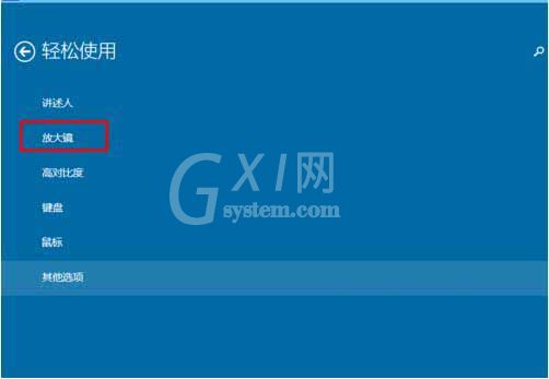 win10系统使用内置放大镜的具体步骤截图