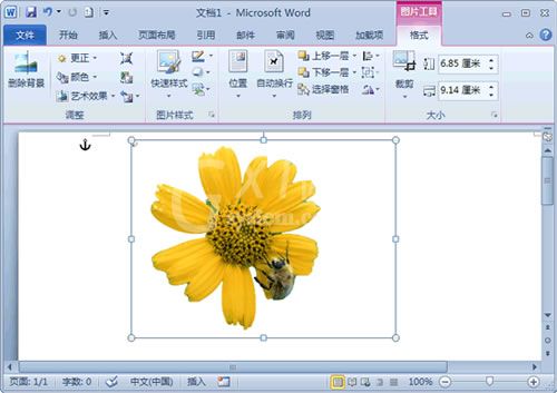 word2010删除图片背景的详细步骤截图