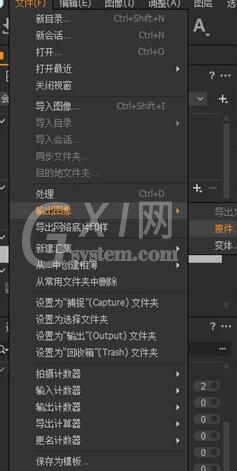 Capture One批量导出照片的操作方法截图