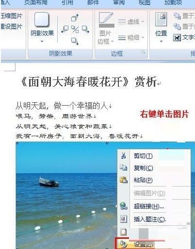 word插入图片后不能移动位置的解决操方法截图