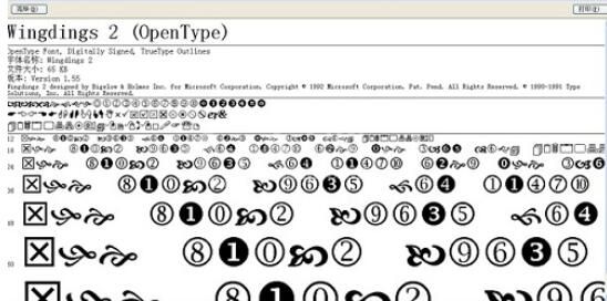 MathType出现Font字体乱码的解决方法截图