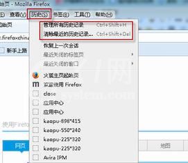 火狐浏览器清理历史记录缓存cookie的操作教程截图