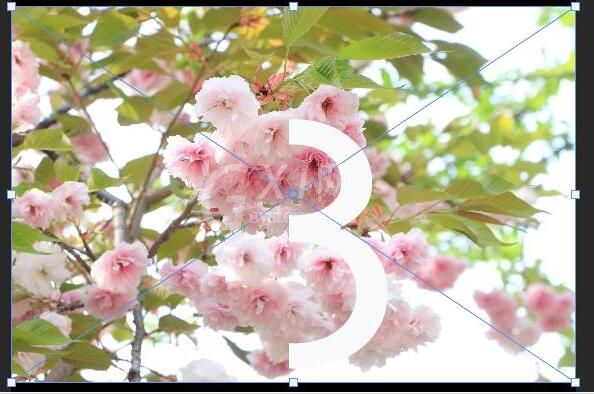 photoshop制作立体字填充花朵的效果的详细方法截图