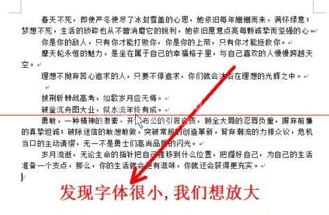 word字体放大后显示不完整的处理操作内容截图