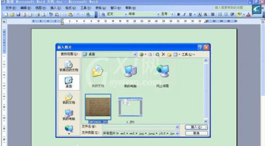 office 2010的Word怎么提取图片里的文字?office 2010的Word提取图片里的文字的方法教程截图