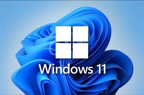 Win11驱动不兼容怎么安装?Win11驱动不兼容安装教程