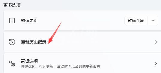 Win11更新后出现闪屏怎么办?Win11更新后闪屏解决办法截图