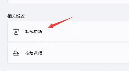 Win11更新后出现闪屏怎么办?Win11更新后闪屏解决办法截图