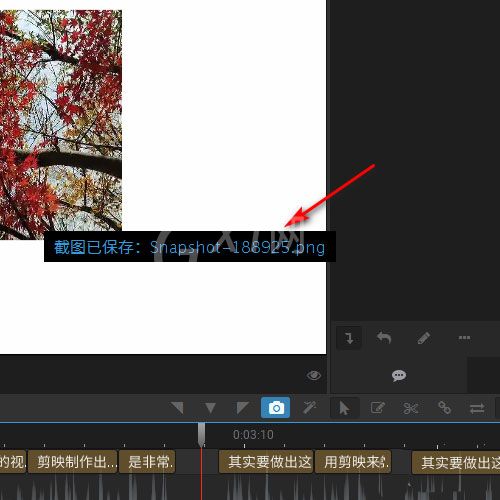 arctime视频画面怎么截图?arctime视频画面截图方法截图