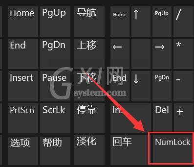 Win11键盘打不了字怎么办?Win11键盘打不了字解决办法截图