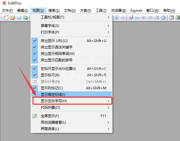 editplus字符怎么全部显示?editplus打开空白字符教程分享截图