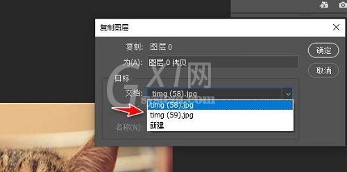ps复制图层到另一个图怎么操作?ps复制图层到另一个图操作方法截图