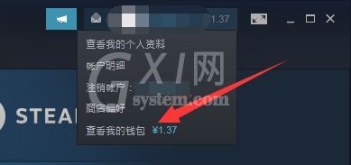 steam支付方式没有steam钱包怎么办?steam支付方式没有steam钱包解决办法截图
