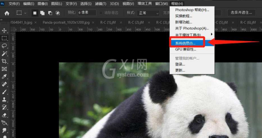 ps如何搜索系统可用内存?ps搜索系统可用内存操作方法截图