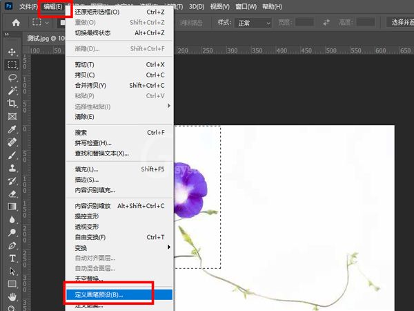 ps怎么制作图案画笔?ps制作图案画笔详细教程截图