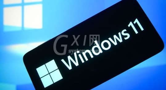Windows11浏览器没网怎么解决?Windows11设置局域网络技巧