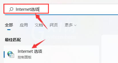 Windows11浏览器没网怎么解决?Windows11设置局域网络技巧截图