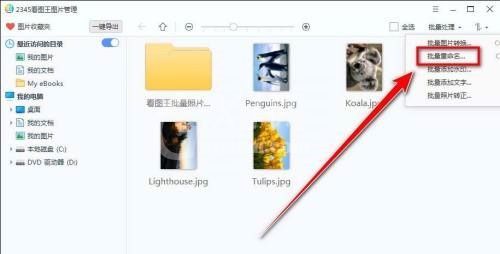 2345看图王如何替换文件名字符?2345看图王替换文件名字符方法截图