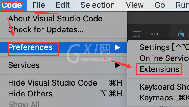 Vscode怎么卸载扩展插件?Vscode卸载扩展插件方法截图