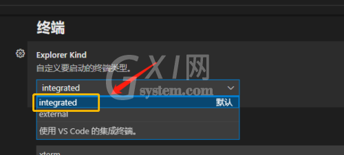 Vscode怎么自定义终端类型?Vscode自定义终端类型方法截图