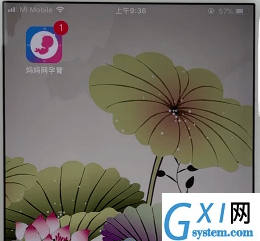 在孕育管家APP中查看预产期的具体图文讲解