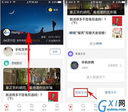 有宠app添加卡片的操作过程截图