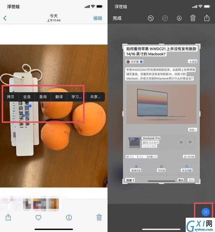苹果iOS 15正式版更新了什么?苹果iOS 15正式版更新内容介绍截图