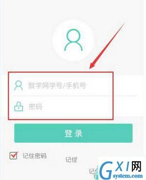 智学网APP查看成绩的操作流程截图