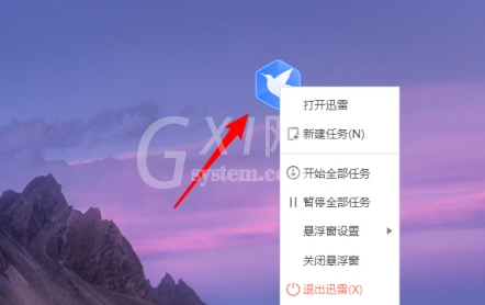 迅雷11怎么显示悬浮窗口?迅雷11显示悬浮窗口的方法截图
