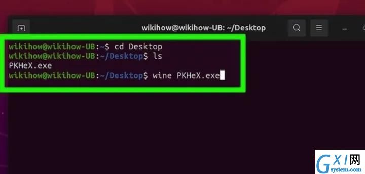 2.webp.jpg