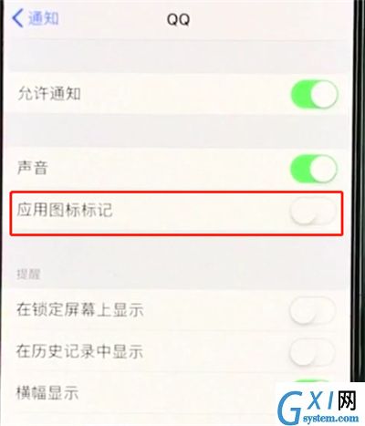 iphonexs关闭APP小红点的操作流程截图