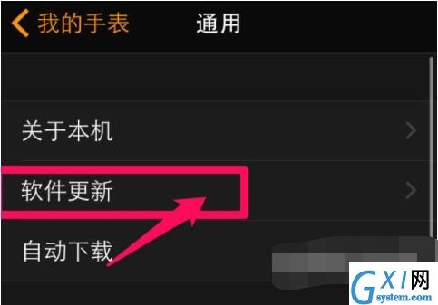 Applewatchseries6怎么更新系统?Applewatchseries6更新系统教程截图