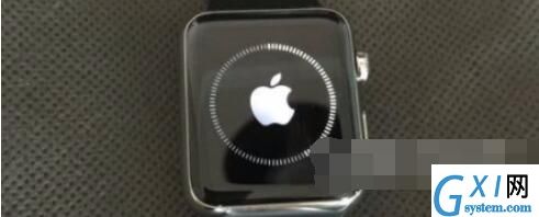 Applewatchseries6怎么更新系统?Applewatchseries6更新系统教程截图
