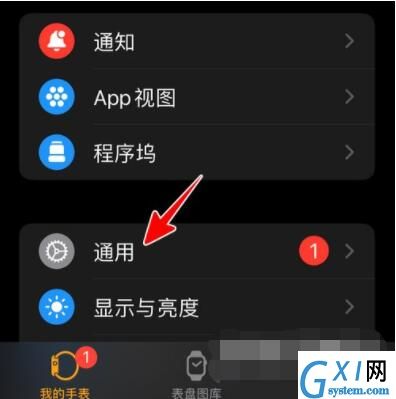 AppleWatch如何升级到watchOS8?AppleWatch升级到watchOS8教程截图