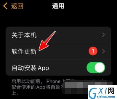 AppleWatch如何升级到watchOS8?AppleWatch升级到watchOS8教程截图
